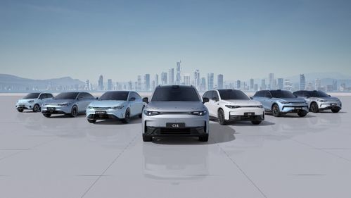 零跑汽車2024上半年財報分析 交付量創歷史新高，營銷網絡持續優化助力銷售增長