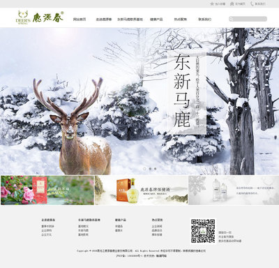 哈爾濱網(wǎng)站建設(shè)的智慧之選——翰諾科技網(wǎng)頁(yè)制作專(zhuān)業(yè)服務(wù)